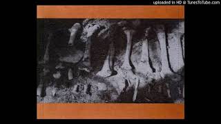 Swans-All Lined Up
