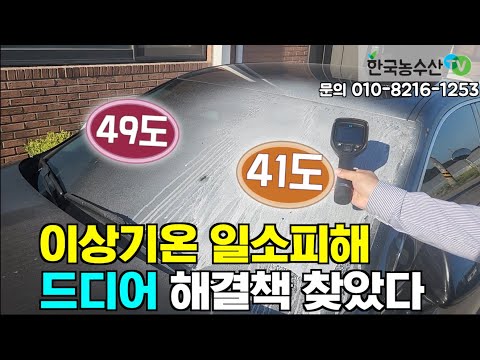 제품 영상