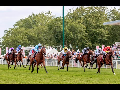 ARQANA SERIES 2025: Teaser