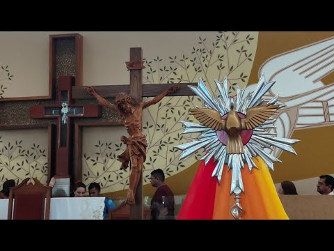 Santa Missa 9ª Semana do Tempo Comum "São Carlos Lwanga e Companheiro"(03.06.26) Pe. Oveslando Lima.