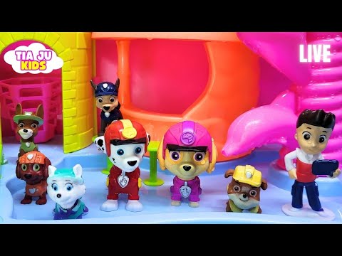 🔴PATRULHA CANINA, ENCONTRE OS PERSONAGES, PEPPA PIG EM PORTUGUÊS GALINHA PINTADINHA, MINNIE LIVE