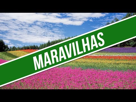 MARAVILHAS / CD JOVEM 2013