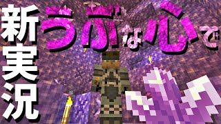 【Minecraft】うぶな心で一から始めました Part0【ゆっくり実況】