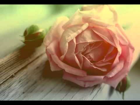 Merima Njegomir - Milica jedna u majke (2. verzija)