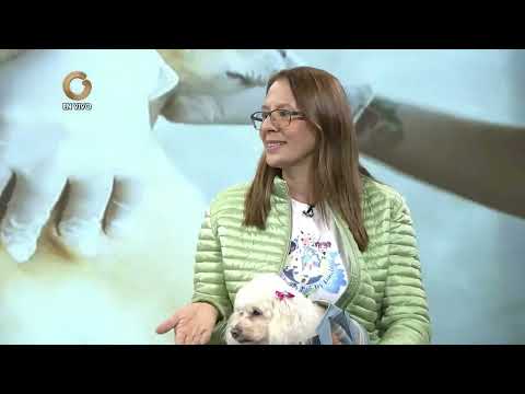 La Tizana   Pedro con las Mascotas   Nereyda Pérez  Rescate y Cuidado Animal