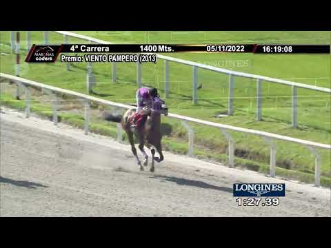 221105 c04 LINDA GATA