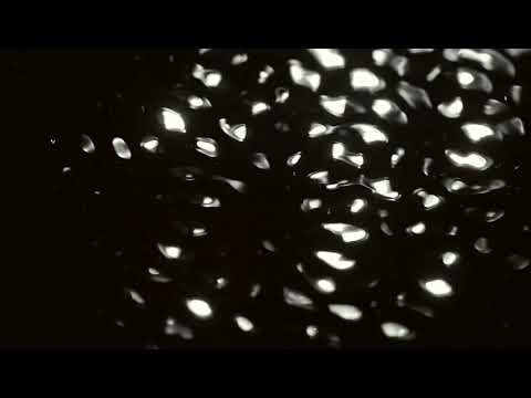 Random Logic – RUST​•​E​•​MAL