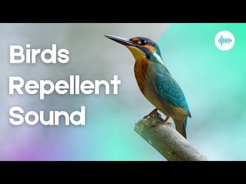 Birds Repellent Sound