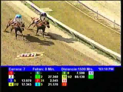 Resumen Domingo, 23 de Febrero de 2014 - La Rinconada