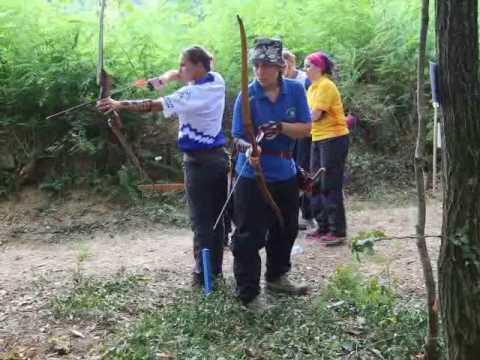 3D ricurvo arco istintivo 7/13