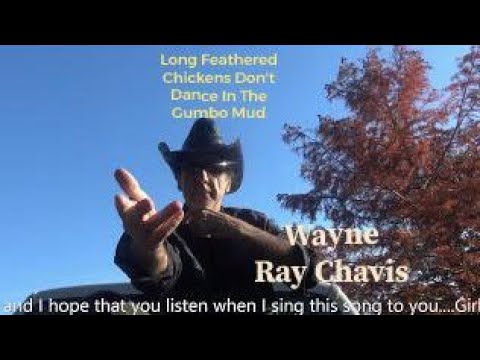 Wayne Ray Chavis Long Feathered Chickens Dont Dance in Gumbo Mud - Wayne Ray Chavis