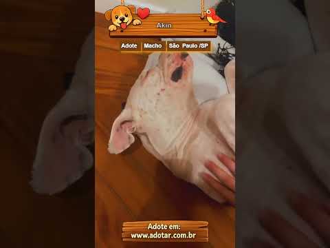 Vídeo de Akin