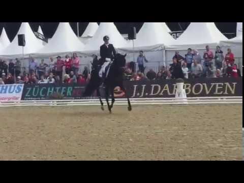 Gestüt Letter Berg Hengst Spökenkieker V. Finale Bundeschampionat 4-j. Hengste 2018