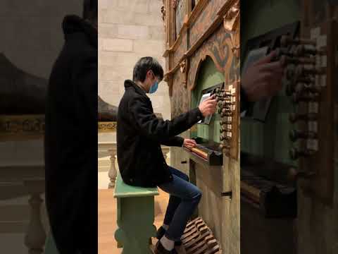 Philip Glass on an Italian Baroque Organ?!