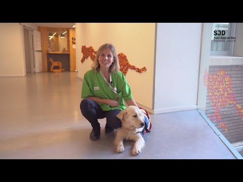 Intervención asistida con perros en Sant Joan de Déu