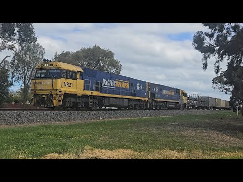 4PM6 PN up "Linfox Express" (NR21, NR71, 42P), Perth to Melbourne, 1430, 27/9/25, Horsham VIC 