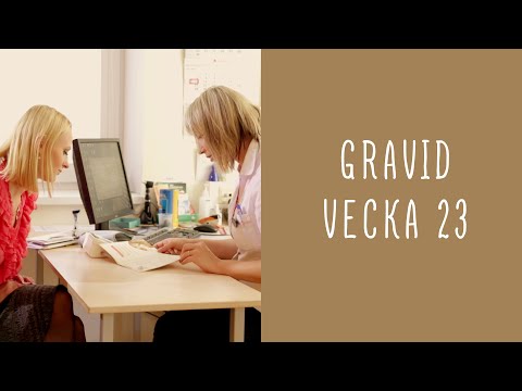 Gravid vecka 23