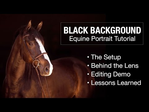 YouTube video about: How to do black background horse pictures?