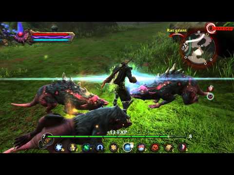 les royaumes d'amalur reckoning pc telecharger