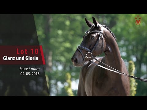 10 Glanz und Gloria Stute v. Gandhi - Likoto xx