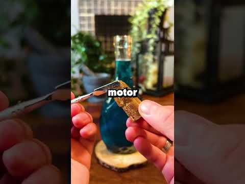 When did military life feel like a comedy sketch?