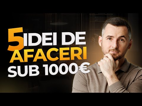 Cele mai BUNE IDEI DE AFACERI cu Investiții Minime! CUM SĂ FACI BANI FĂRĂ INVESTIȚII MARI?