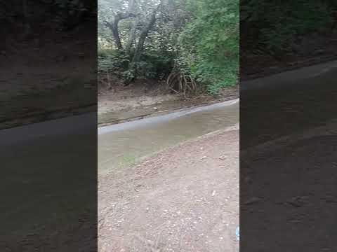 Conocido comúnmente como Canal de la Sierra vía ambalema Cruze de la sierra Tolima