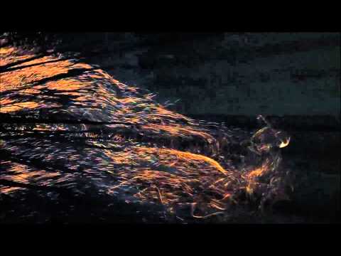 The Pulsarix & Spins - Suspiria (Original Mix) [Pulsar Recordings]