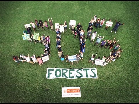 Save Our Southern Forests Tour 2015 #sosforests