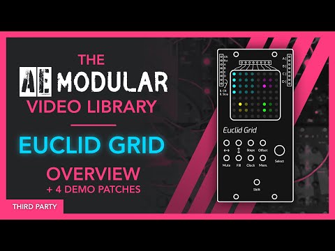 The AE Modular Video Library - Euclid Grid