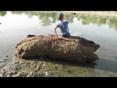 catch and cook goldfish