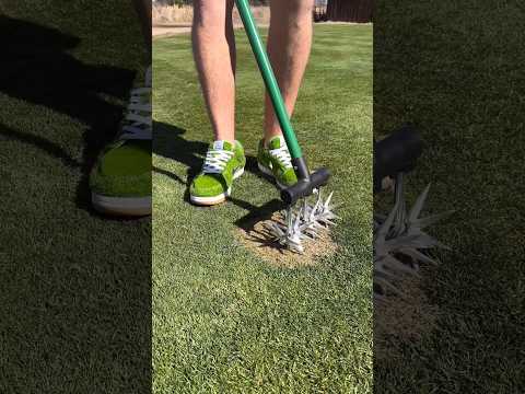 The 4 Most ASMR Ways to Fix a Lawn