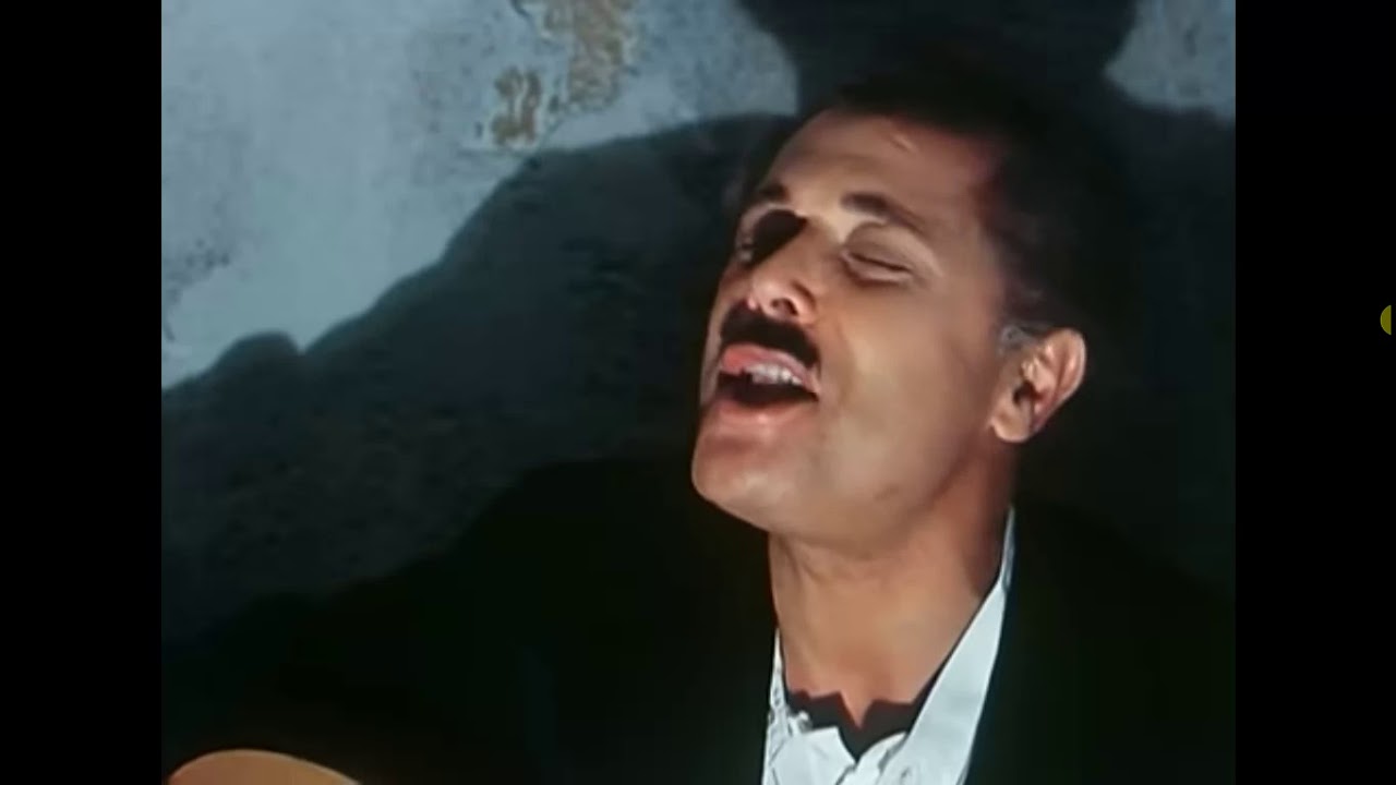 الشيخ حسني محمود عبدالعزيز يغني "يا صحبجية " من فيلم الكيت كات