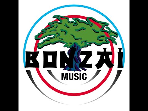 Bonzai Legends - Hit Hard - Robert Armani