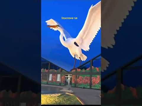 Pantanal Sul matogrossense. Rio verde de Mato Grosso do Sul.