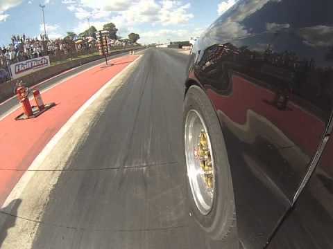 ECPA 2014 Gol DT-B by ILL BRED Preparações