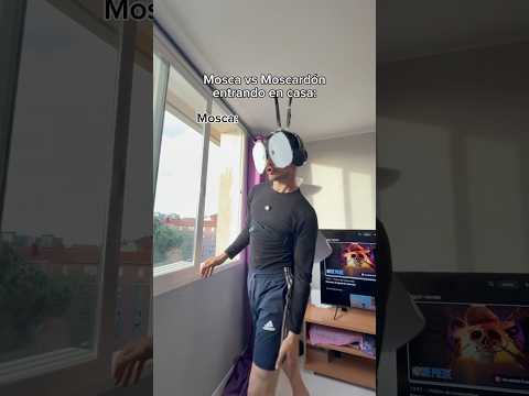 Es verano: #humoranimales #memesanimales #humormascotas #humorviral #moscasvsmoscardones