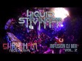 Liquid Stranger - Shambhala DJ Mix (Infusion vol ...
