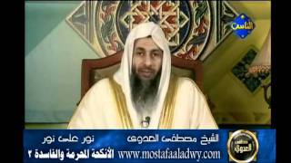 منوعات 281 نور على نور5 6 2010