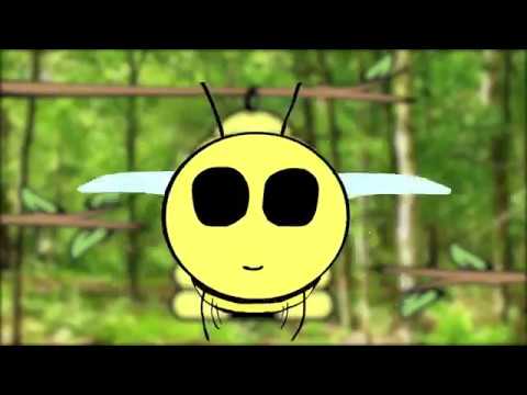 Flight of the Bumblebee - Animation