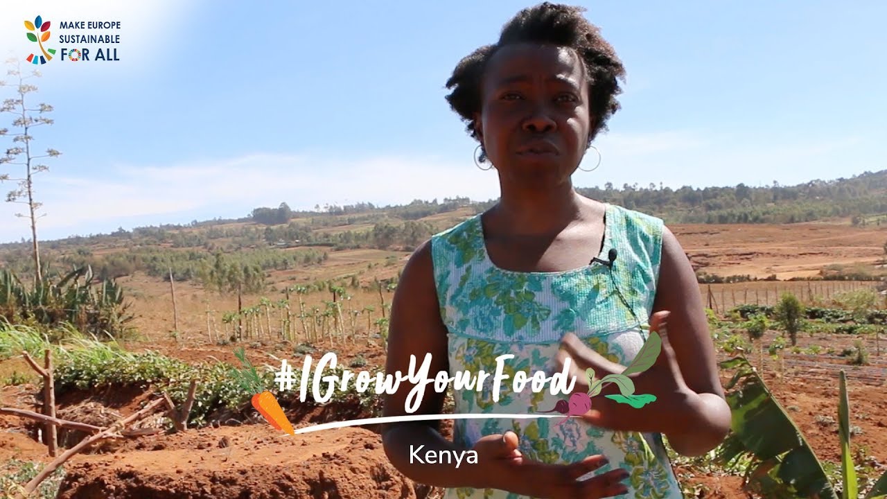 Meet some of the Farmers in Kenya Dealing with Drought 🇰🇪