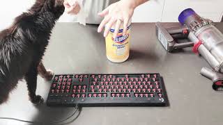 How To Clean Your Logitech Mechanical Keyboard