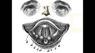 03 - Esaltazione di un armonico in diplofonia [da Triskaidekaplofonie]