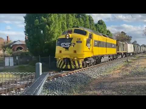 CLF1 SSR grain train 2021