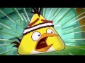 Angry Birds Toons Episode 1