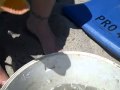 Vomit Shark