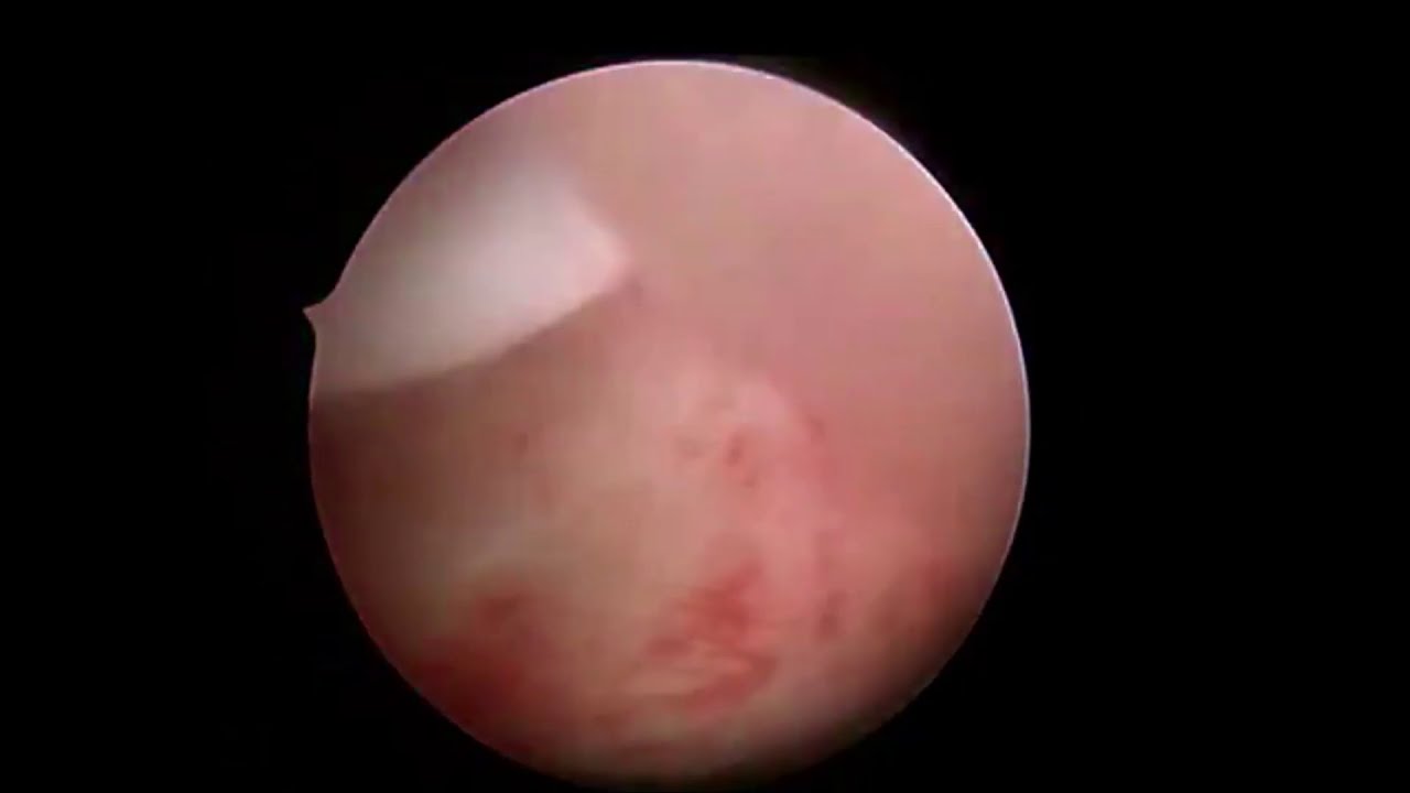 José Luis Goncalves Rodriguez-14