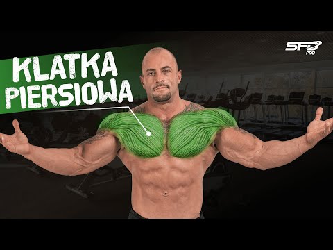 SFD Exercise Atlas - Chest Muscles