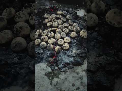 #trendingreels #liti chokha 🔥😋