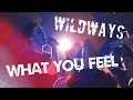 WILDWAYS (ex-SWIMT) - What You Feel (live ...